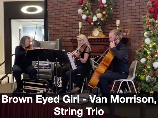 Brown Eyed Girl Violin Viola Cello Trio