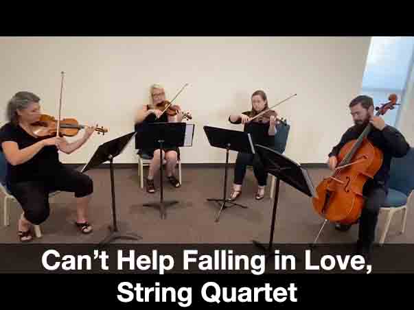 Falling in Love String Quartet